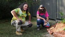 S37 E23: A Celebration of Australian Native Plants