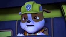 S5 E25: Ultimate Rescue: Pups Save a Runaway Stargazer