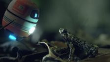 S1 E11: Andy and the Tree-Hole Frog