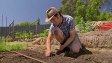 S30 E42: Gardening Australia
