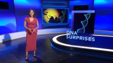 S24 E35: DNA Surprises