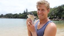 S2 E9: Bondi Vet