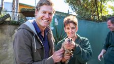 S8 E5: Bondi Vet