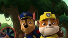 S8 E13: Pups Save a Show Jumper; Pups Save the Salmon