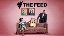 The Feed