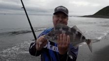 S11 E1: Spring Soft Bait Tactics