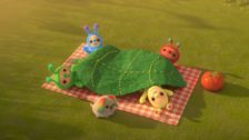 S1 E8: Sticky Leaf