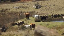 S1 E4: Strength in the Soil