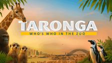 Taronga: Who's Who in the Zoo