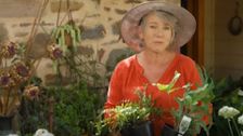 S32 E19: Gardening Australia