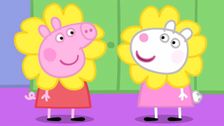 S8 E20: Wildflower Wood