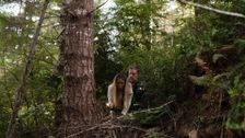 S3 E14: Into Bigfoot's Den