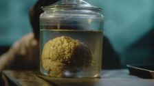 S2 E20: Curious Crimes