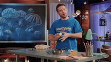 S1 E39: Superchutes!