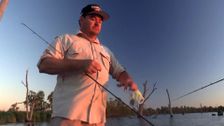 S2 E5: Mulwala Muppets