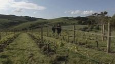 S2 E4: Wine Lovers' Guide to Australia