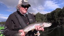 S11 E5: On the Fly