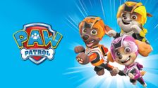 PAW Patrol