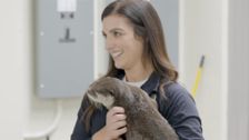S2 E8: Otter-ly Ridiculous