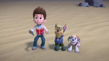 S2 E19: Pup-Fu!
