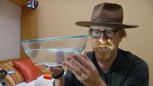 S2 E17: Body Oddities