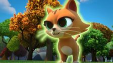 S1 E21: CAT-astrophe