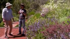 S33 E6: Gardening Australia