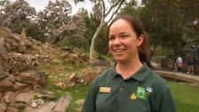 S15 E7: South Aussie With Cosi