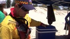 S1 E12: Surf Patrol