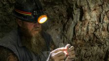 S7 E5: Dig and Digger