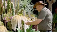 S34 E17: Gardening Australia