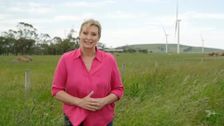 S32 E27: Better Homes and Gardens