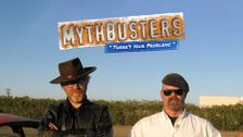 MythBusters: There's Your Problem!