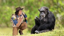 S1 E5: Andy and the Chimps