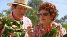 S30 E11: Gardening Australia