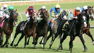 Racenight Live
