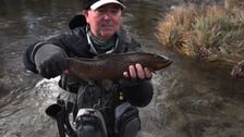 S1 E8: Thredbo River, New South Wales