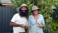 S29 E8: Gardening Australia