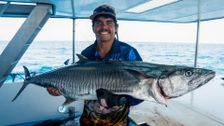 S1 E7: Cape Carnage: Killer Catch
