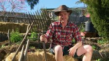 S30 E7: Gardening Australia