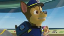 S1 E19: Pups save a super pup; Pups save Ryder's robot
