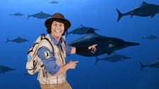 S1 E9: Ophthalmosaurus and Painting