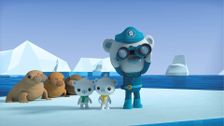 S4 E5: Octonauts and the Walrus Pups