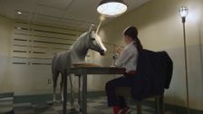 How to Interrogate a Unicorn
