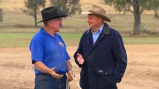 S2 E9: Dr Harry's Animal Encounters