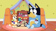 S3 E50: Bluey