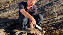 S6 E3: Sjuharad: Gastronomy With Closeness To Nature