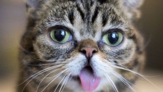 Make You Laugh Out Loud