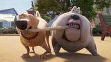 S1 E44: Give The Dog A Bone