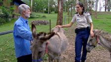 S2 E18: RSPCA Animal Rescue
